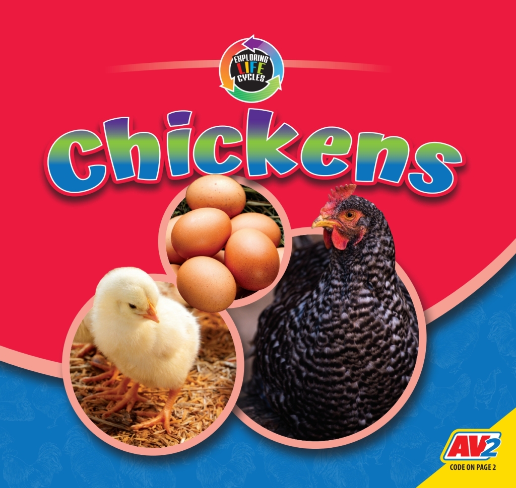Chickens 1st Edition