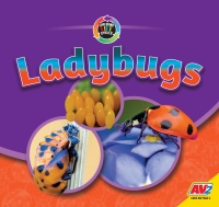 Imagen de portada: Ladybugs 1st edition 9781791127206