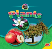 Imagen de portada: Plants 1st edition 9781791127244