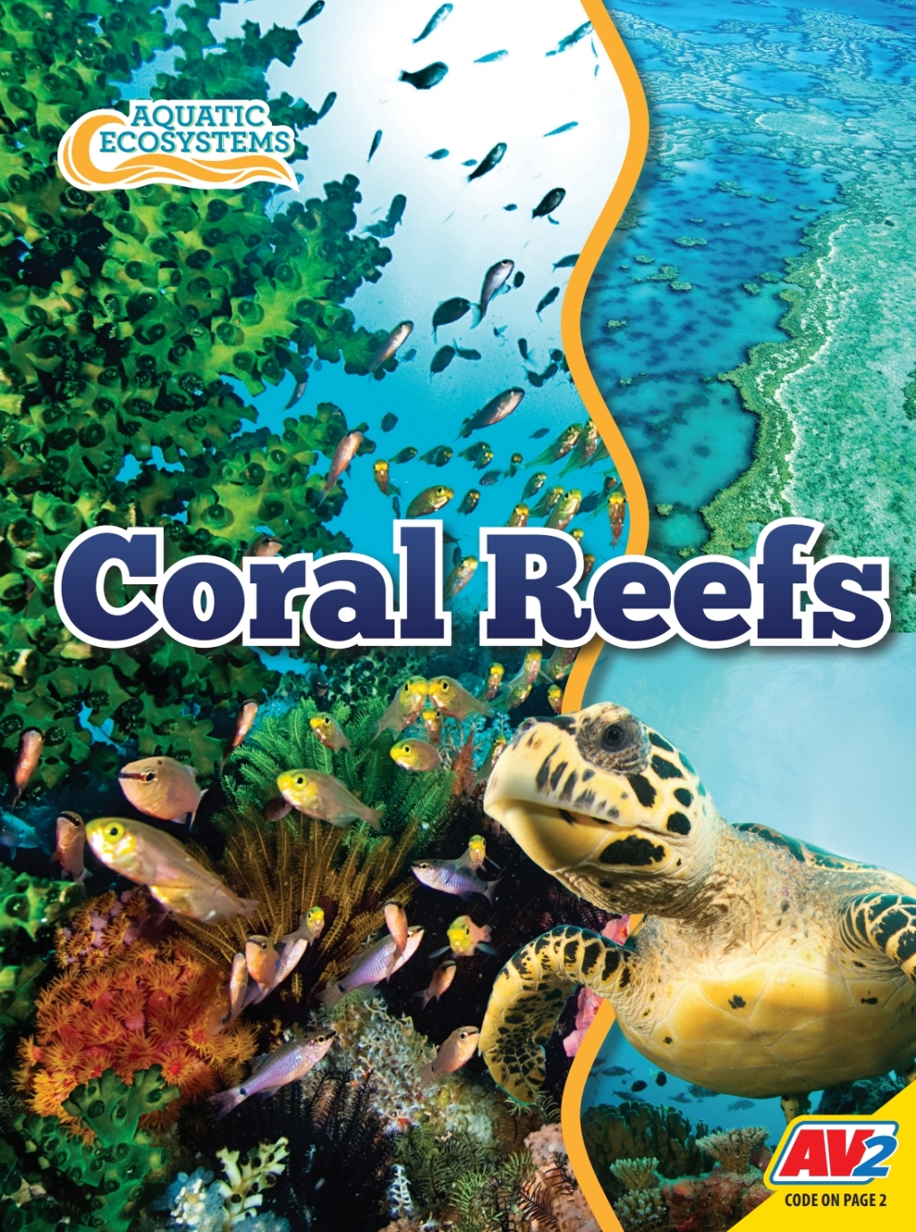 Coral Reefs 1st Edition