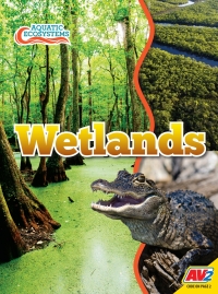 Imagen de portada: Wetlands 1st edition 9781791128197