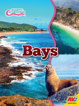 Cover image: Bays 1st edition 9781791128234