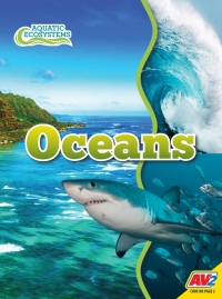 Omslagafbeelding: Oceans 1st edition 9781791128272
