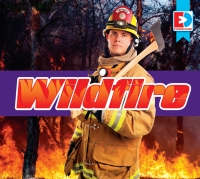 Omslagafbeelding: Wildfire 1st edition 9781791131821