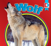 Cover image: Wolf 1st edition 9781791131838