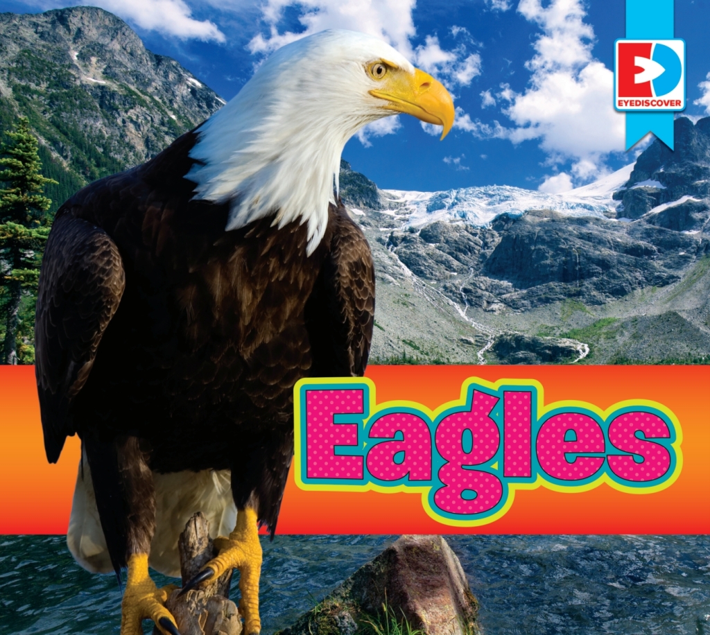 Bald Eagle 1st Edition