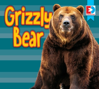 Cover image: Grizzly Bear 1st edition 9781791131883