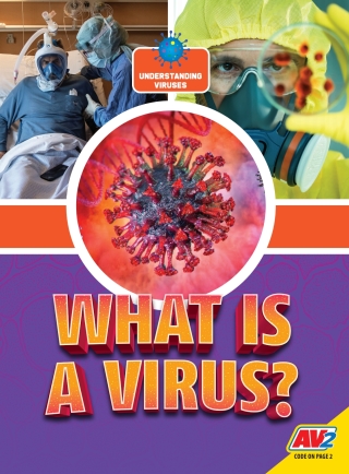 Omslagafbeelding: What is a Virus? 1st edition 9781791132545