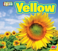 Cover image: Yellow 1st edition 9781791134198