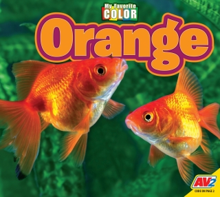 Cover image: Orange 1st edition 9781791134228