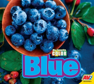 Titelbild: Blue 1st edition 9781791134259