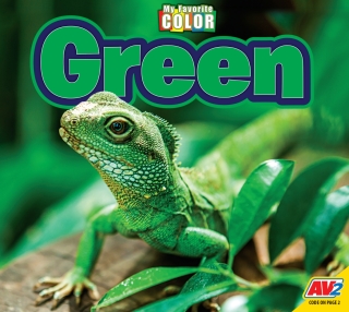 Imagen de portada: Green 1st edition 9781791134280