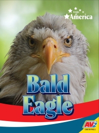 صورة الغلاف: Bald Eagle 1st edition 9781791134617