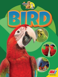 Imagen de portada: Bird 1st edition 9781791134976