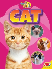 Imagen de portada: Cat 1st edition 9781791135003