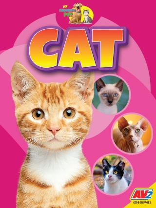 Cover image: Cat 1st edition 9781791135003