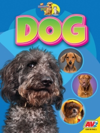 Imagen de portada: Dog 1st edition 9781791135034