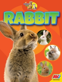 Omslagafbeelding: Rabbit 1st edition 9781791135126