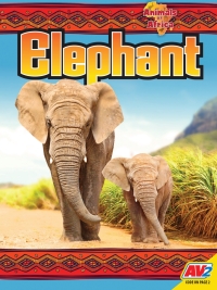 Cover image: Elephant 1st edition 9781791135157