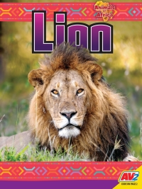 Cover image: Lion 1st edition 9781791135270