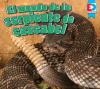 Cover image: El mundo de la serpiente de cascabel (A Rattlesnake’s World) 1st edition 9781791135478