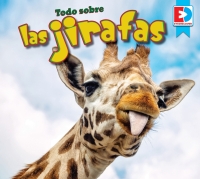 Imagen de portada: Todo sobre las jirafas (All about Giraffes) 1st edition 9781791135515