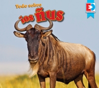 Imagen de portada: Todo sobre los ñus (All about Wildebeests) 1st edition 9781791135539