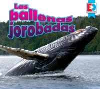 Cover image: Las ballenas jorobadas (Humpback Whales) 1st edition 9781791135591