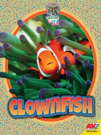 Omslagafbeelding: Clownfish 1st edition 9781791135850