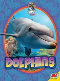 Cover image: Dolphins 1st edition 9781791136994