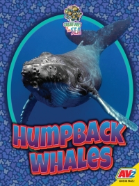 Imagen de portada: Humpback Whales 1st edition 9781791137021