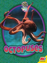 Omslagafbeelding: Octopuses 1st edition 9781791138158