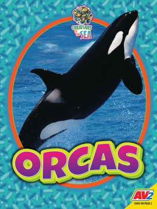 Imagen de portada: Orcas 1st edition 9781791138189