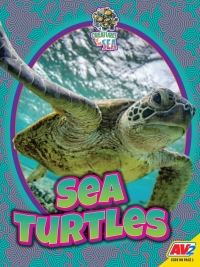 Cover image: Sea Turtles 1st edition 9781791138240