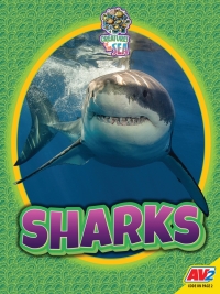 Cover image: Sharks 1st edition 9781791138271