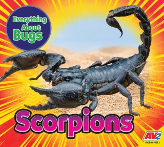 Omslagafbeelding: Scorpions 1st edition 9781791138936