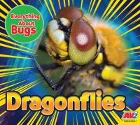 Cover image: Dragonflies 1st edition 9781791139056