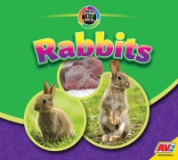 Cover image: Rabbits 1st edition 9781791139179