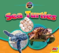 Imagen de portada: Sea Turtles 1st edition 9781791139230