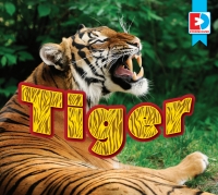 صورة الغلاف: Tiger 1st edition 9781791139964