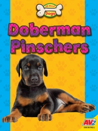 Cover image: Doberman Pinschers 1st edition 9781791140342