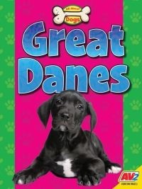 Cover image: Great Danes 1st edition 9781791140373