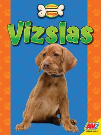 Cover image: Vizslas 1st edition 9781791140434