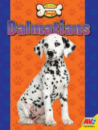 Cover image: Dalmatians 1st edition 9781791140465