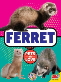 表紙画像: Ferret 1st edition 9781791141301