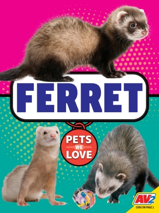 Imagen de portada: Ferret 1st edition 9781791141301