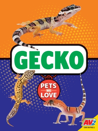 Cover image: Gecko 1st edition 9781791141332