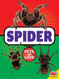 Cover image: Spider 1st edition 9781791141394
