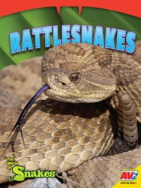 صورة الغلاف: Rattlesnakes 1st edition 9781791141455