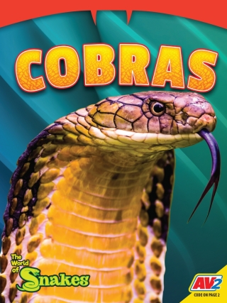 Imagen de portada: Cobras 1st edition 9781791141486
